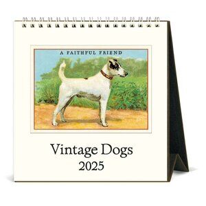 Cavallini & Co. Vintage Dogs 2025 Easel Desk Calendar, 6.5"x6.5"
